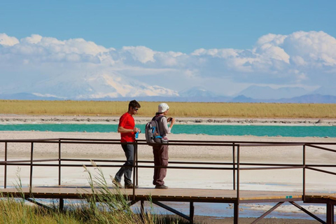 Desierto de Atacama: Refrescante Flotación en Laguna Cejar y Puesta de Sol