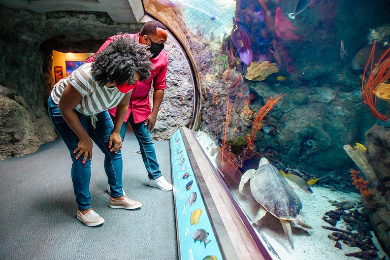 Los Angeles: Företrädesbiljett till Aquarium of the Pacific