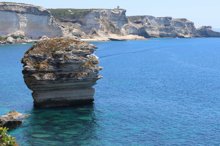 Sardinia: Fast Ferry Journey Between Sardinia and CorsicaFerry From Sardinia → Corsica (One Way)