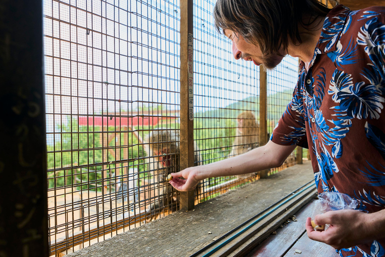 Kyoto: Arashiyama UNESCO Walking Tour with Admission