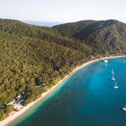 From Cairns: Fitzroy Island Day Trip by Ferry