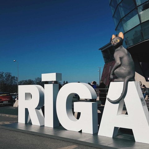 From Riga: Private Transfer to Tallinn with Pärnu City Tour