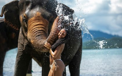 Phuket, Elephant Care Camp Visit and Elephant Jungle Walk - Housity