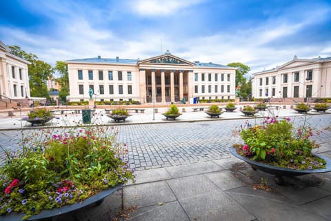 Oslo: Privater geführter Rundgang zu den Highlights der Altstadt