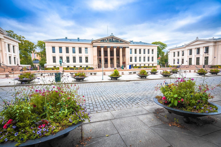 Oslo Old Town Highlights Private Guided Walking Tour 4-hour: Old Town, Oslo Cathedral & National Museum Tour