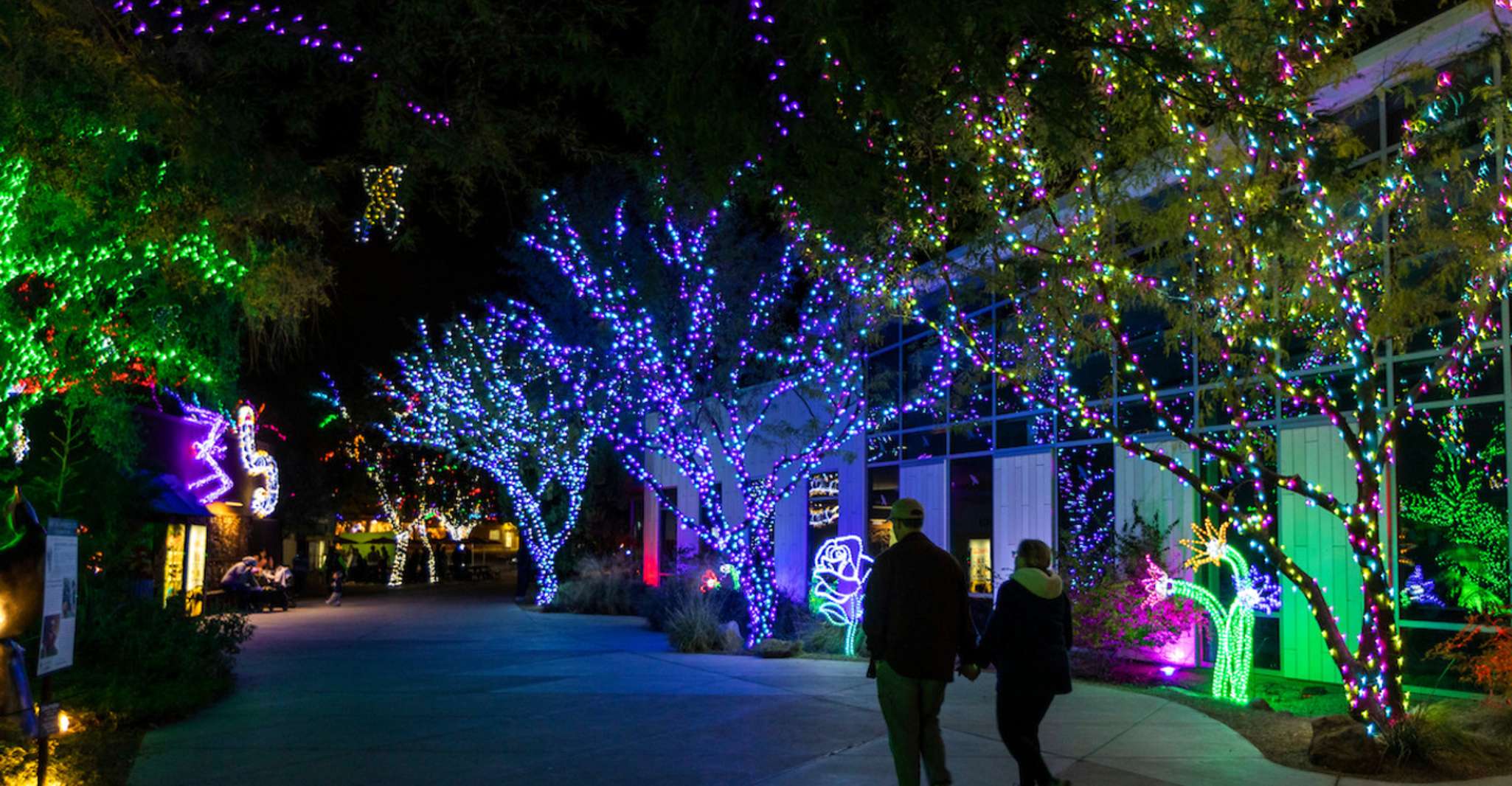 Phoenix, Phoenix ZooLights Eintrittskarte - Hizvo