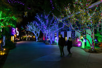 Phoenix, Phoenix ZooLights Eintrittskarte - Hizvo