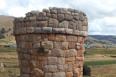 Z Puno: Wycieczka do Chucuito, Molloco i Aramu Muru