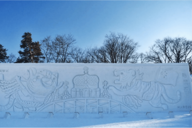 Sapporo: Heiwa-dori Ice Festival Private Day Tour No return to Sapporo