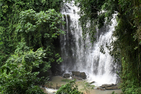 Gold Coast: Springbrook Waterfalls Private Tour
