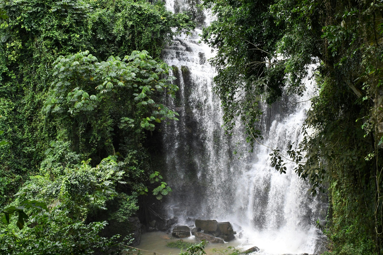 Gold Coast: Springbrook Waterfalls Private Tour