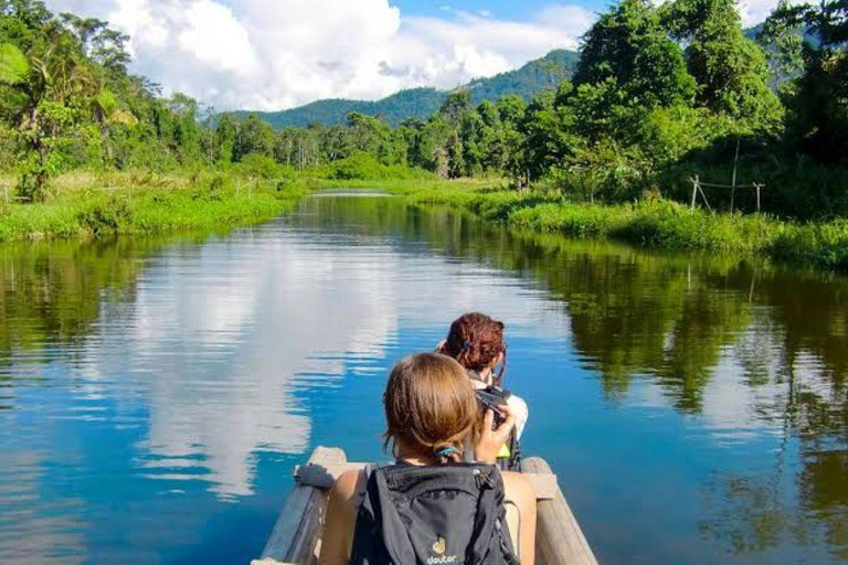 From Cusco: 3-Day Manu National Park Tour with Lodging