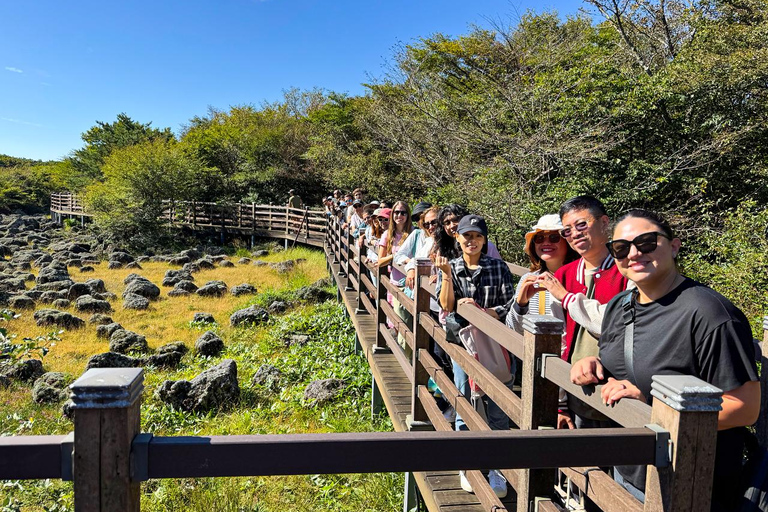Jeju: UNESCO WestSouth & East Highlights 2 Days Combo Tour