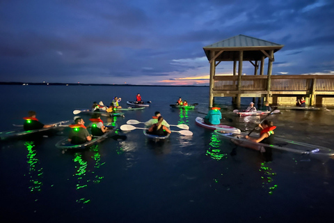 Orlando: Aventura com caiaque ou prancha a remo sem golfinhosPasseio com Golfinhos