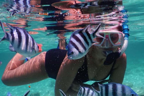 Zanzibar: Mnemba Dolphin Swim, Turtle Aquarium & Beach Trip TOUR WITHOUT HOTEL TRANSFER(PICK UP AND DROP OFF)