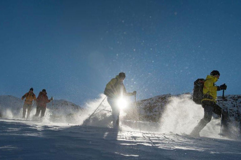 Adults Only Aurora Hunt with Snowshoeing in the wilderness