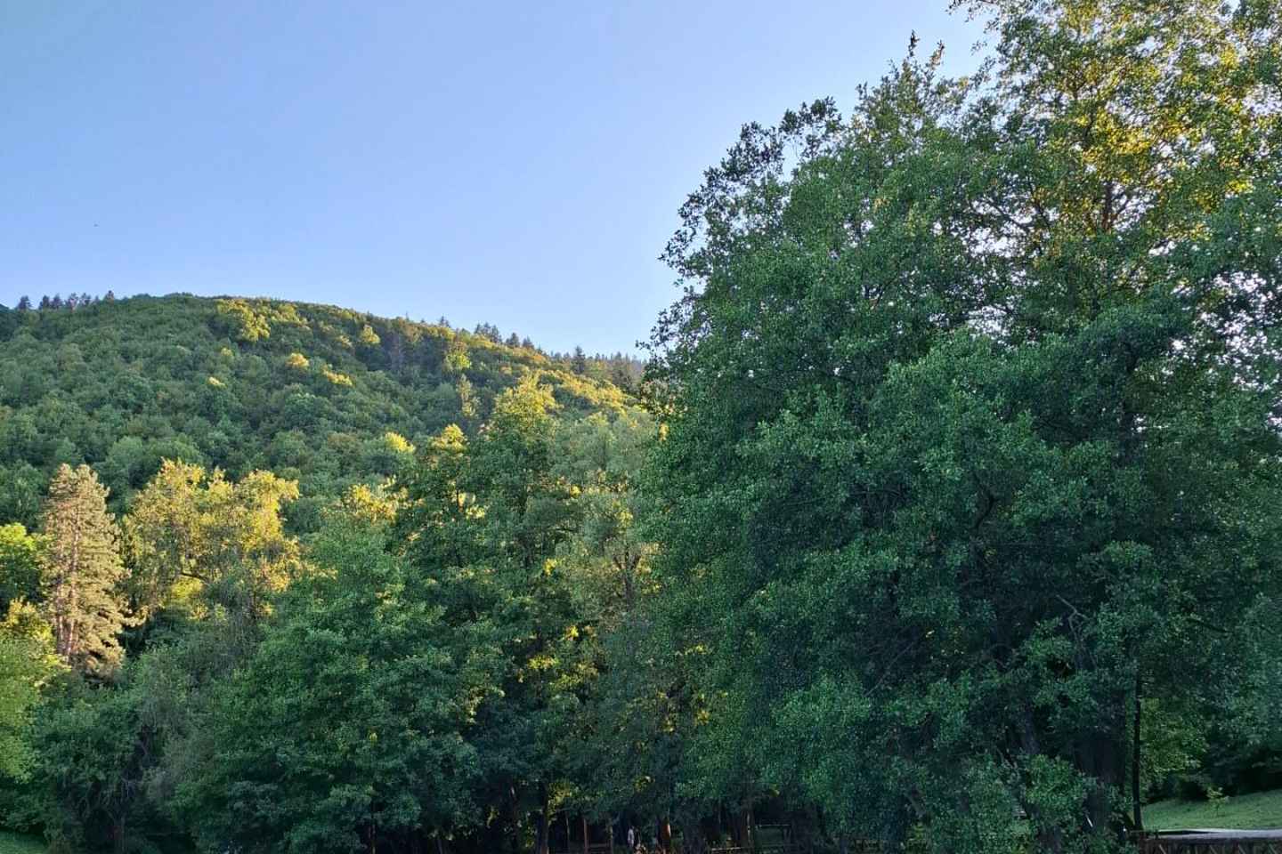 Sarajevo: Stojčevac Nature Walk