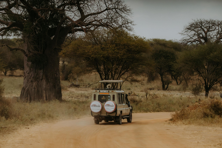 Arusha: Day Trip to Arusha National Park with Lunch.