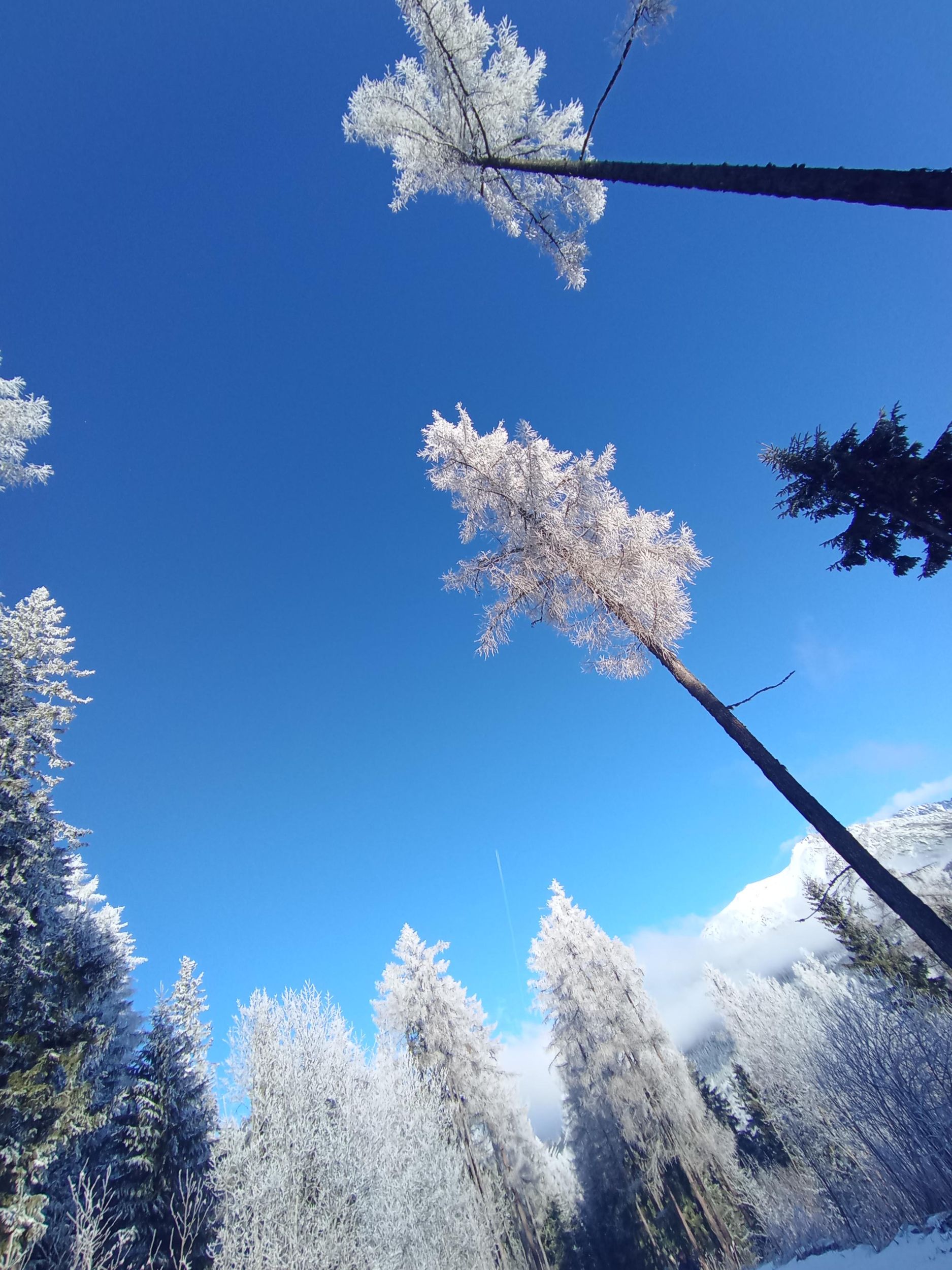 Von Košice aus: Tour nach Prešov, zur Zipser Burg, nach Levoča und zum Štrbské pleso