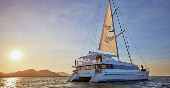 Cairns: City Sights Tour with Evening Dinner Cruise