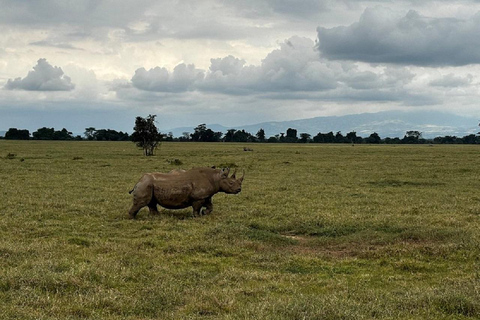 Da Nairobi: escursione al Parco Nazionale del Lago NakuruEscursione al Parco Nazionale del Lago Nakuru senza biglietto d&#039;ingresso
