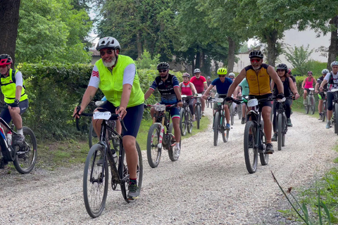 Gavi: E-Bike Tour with Wine Tasting