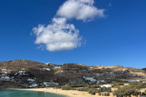 Mykonos: Private Tour by Luxury Van