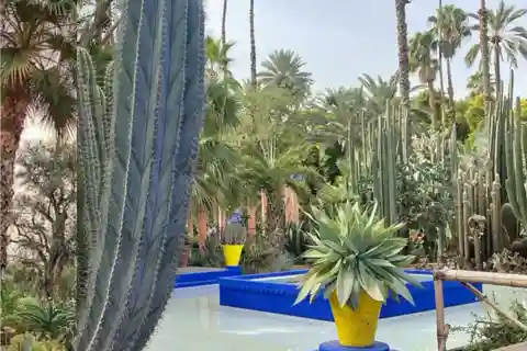 Guided Tour of Marrakech: Discover the Red City
