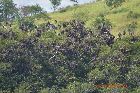 Labuan Bajo: Flores Island & Komodo National Park Tour