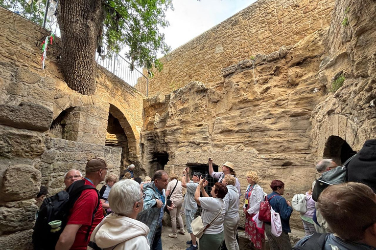 Paphos: Half-Day City Tour with Tombs of the Kings Entry