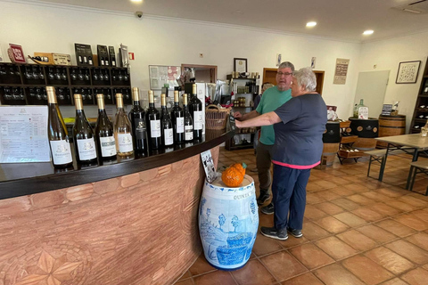 Albufeira, Olhão, Faro: visit to a vineyard, free time in Silves
