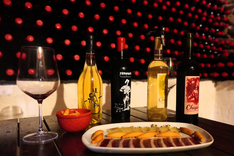 Authentic Rioja Wine Tasting in a Village near Logroño