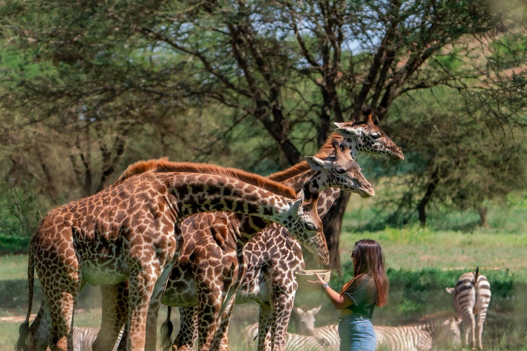 A DAY AT SERVAL WILDLIFE