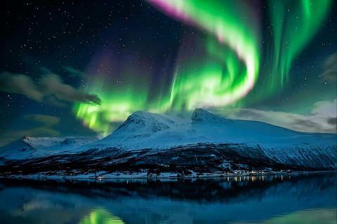 Tromsø: Private Aurora Chase: Personalized Hunt with a Local Group of 1-4 Guests