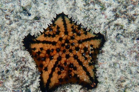 Galápagos: San Cristóbal Island Bike Tour with Swim