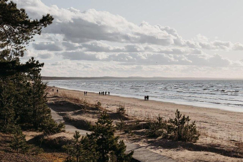 From Tallinn: Narva and Narva-Jõesuu Day Trip with Guide