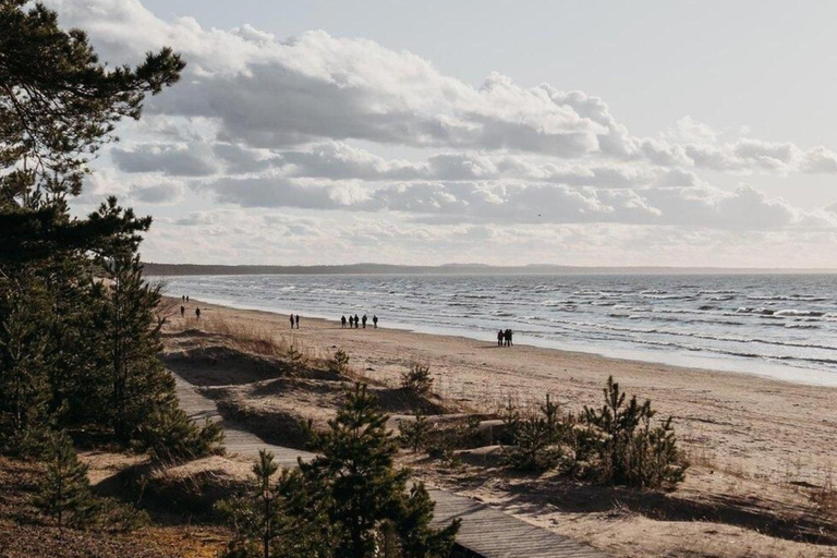 From Tallinn: Narva and Narva-Jõesuu Day Trip with Guide