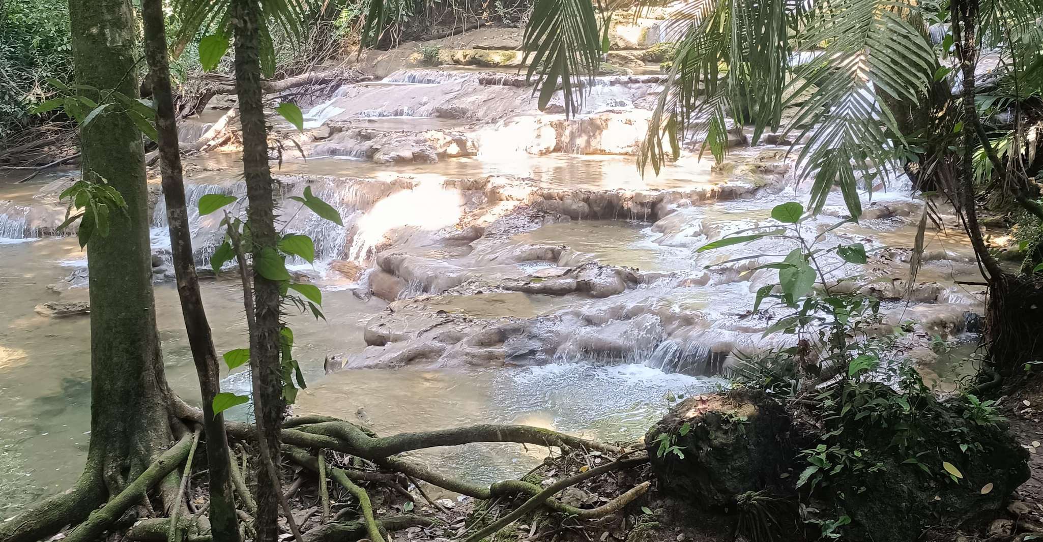 Roberto Barrios Waterfalls from Palenque - Housity