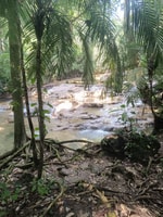 Roberto Barrios Watervallen van Palenque - Housity