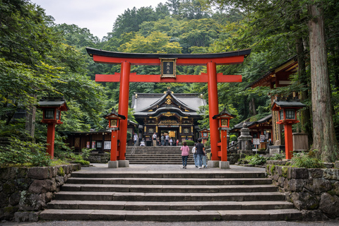 Tokyo: 5-Day Private Tour to Hiroshima with Transport