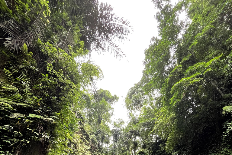 Bali Bathing Holy Spring Water or Purification