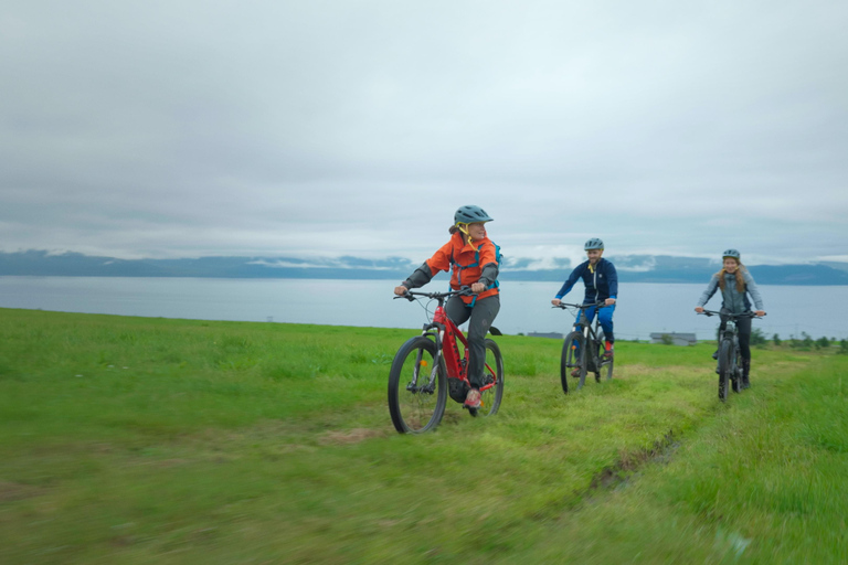 Tromsø: E-Mountainbike-Tour durch die Lyngen-Alpen
