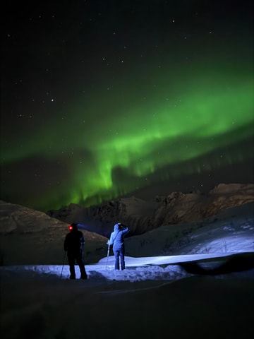 Tromsø: Artic Terrain Snowshoe Expedition with Local Guides