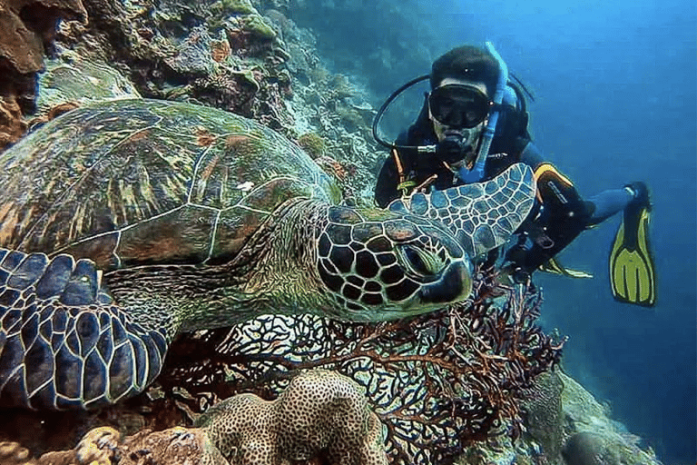 CEBU: Cómo conseguir dos por un precio (certificación de buceo)