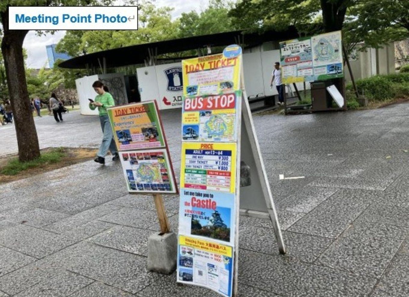 Osaka: Entré til slotstårnet / guidet byvandring