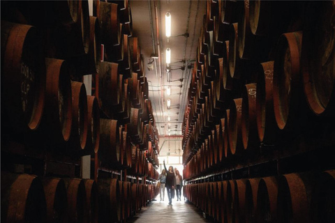 Visite guidée de la distillerie Ron ArehucasVisite guidée en allemand