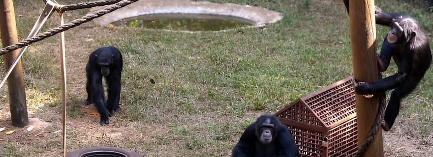 Sierra Leone : Circuit côtier et rural
