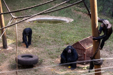 Sierra Leone: Wycieczka po wybrzeżu i kraju