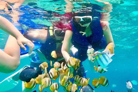 Bali: Schnorcheln in der Blauen Lagune und Tanjung Jepun Bali