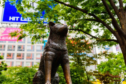 Tokyo: Private Luxury Day Tour with Hotel Pickup and DropOff